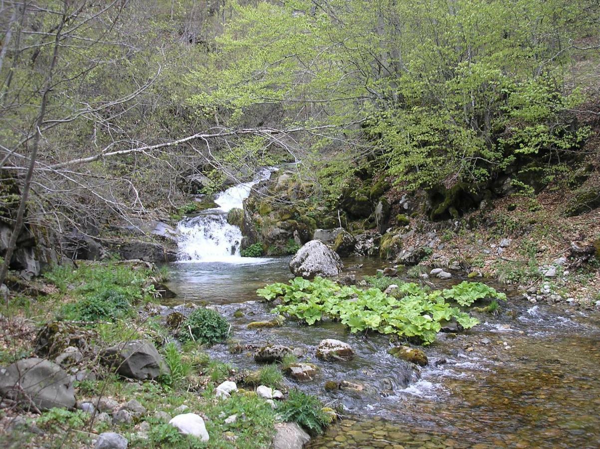 Vila Verusa Экстерьер фото
